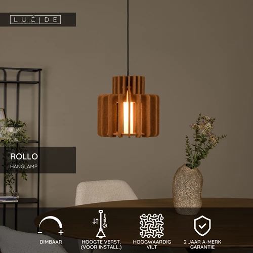 Lucide ROLLO - Hanglamp - 1xE27 - Terracotta - USP